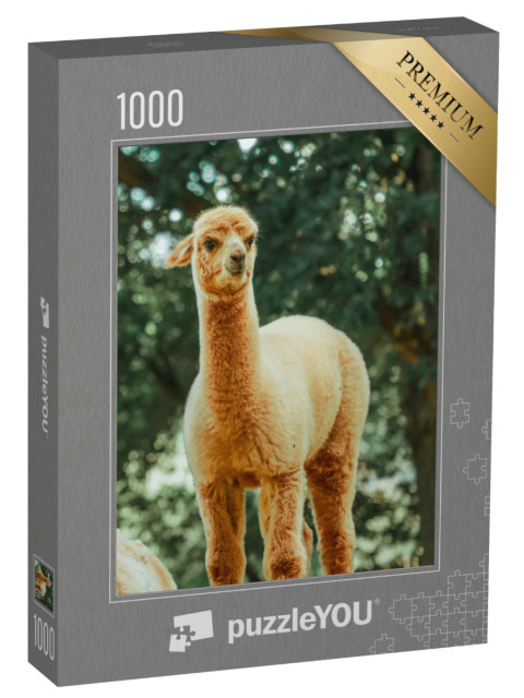 Puzzle 1000 pezzi „Il lama, un mammifero domestico molto diffuso in Sudamerica“