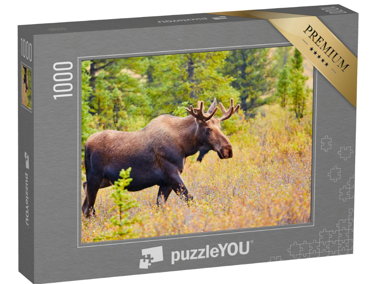 Puzzle 1000 pezzi „Alce, Parco Nazionale di Denali, Alaska, USA“