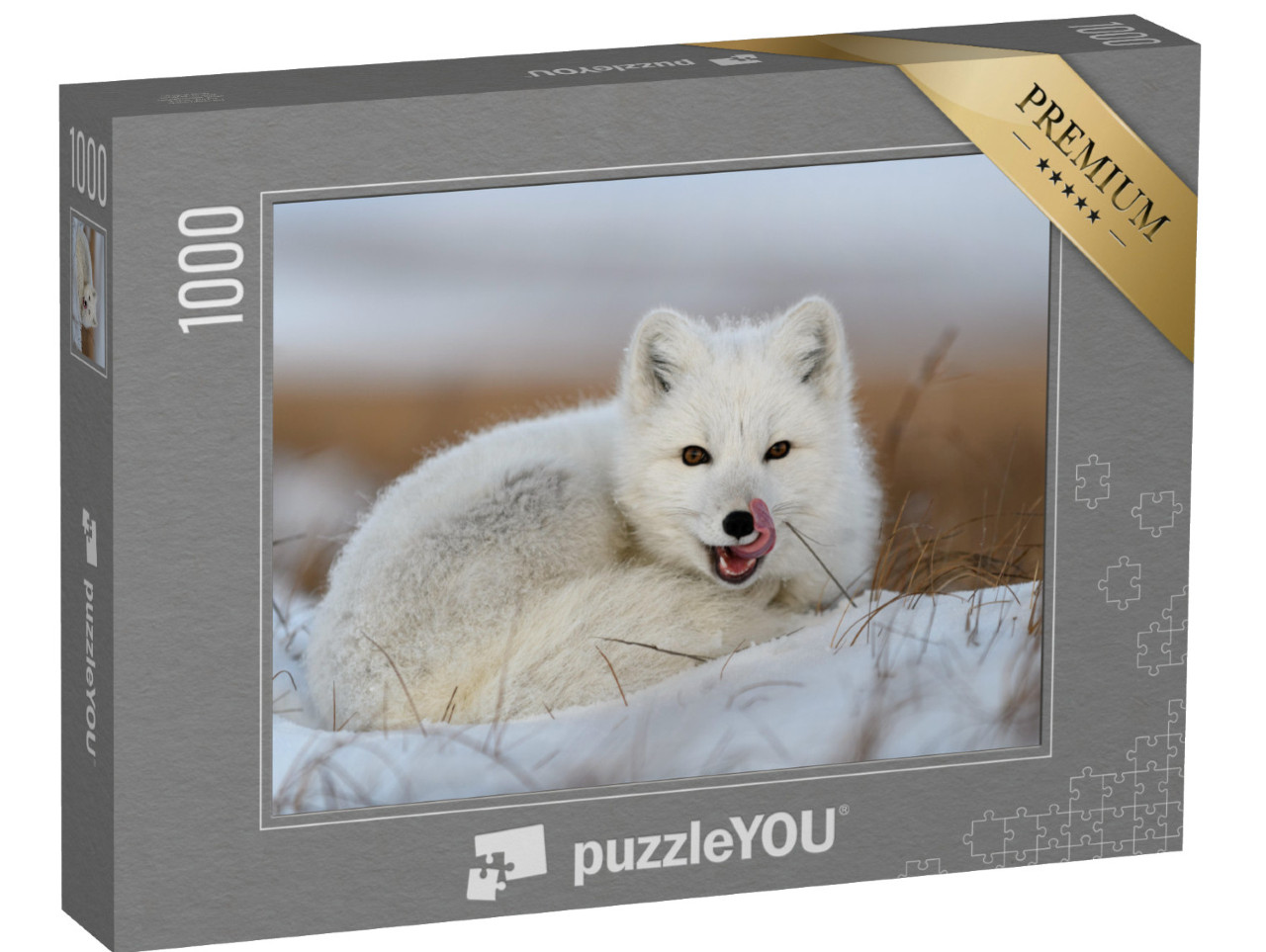 Puzzle 1000 pezzi „Volpe bianca artica, Vulpes lagopus, rannicchiata nella neve“