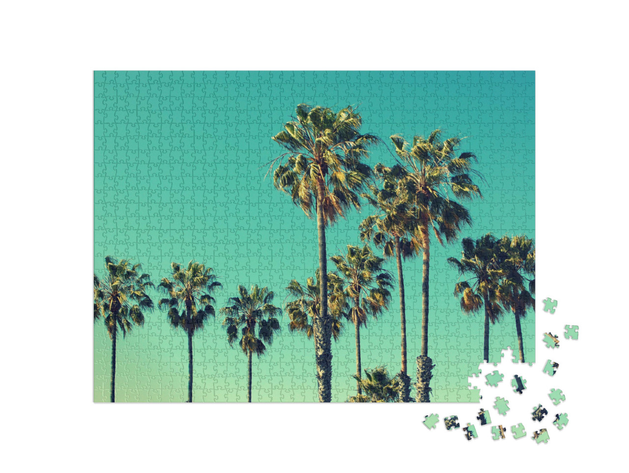 Puzzle 1000 pezzi „Palme sulla spiaggia di Santa Monica“
