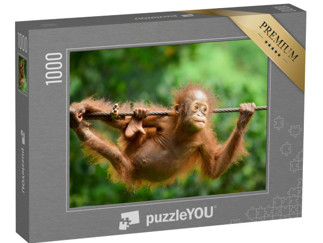 Puzzle 1000 pezzi „Primo piano dell'orangutan di Kalimantan“