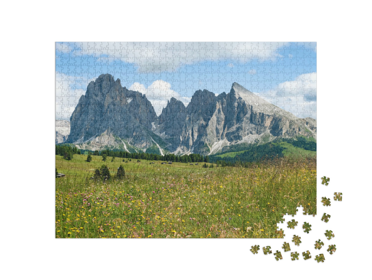 Puzzle 1000 pezzi „Campo alpino con fiori, Alpe di Siusi e Langkofel, Italia. Dolomiti, Alto Adige“