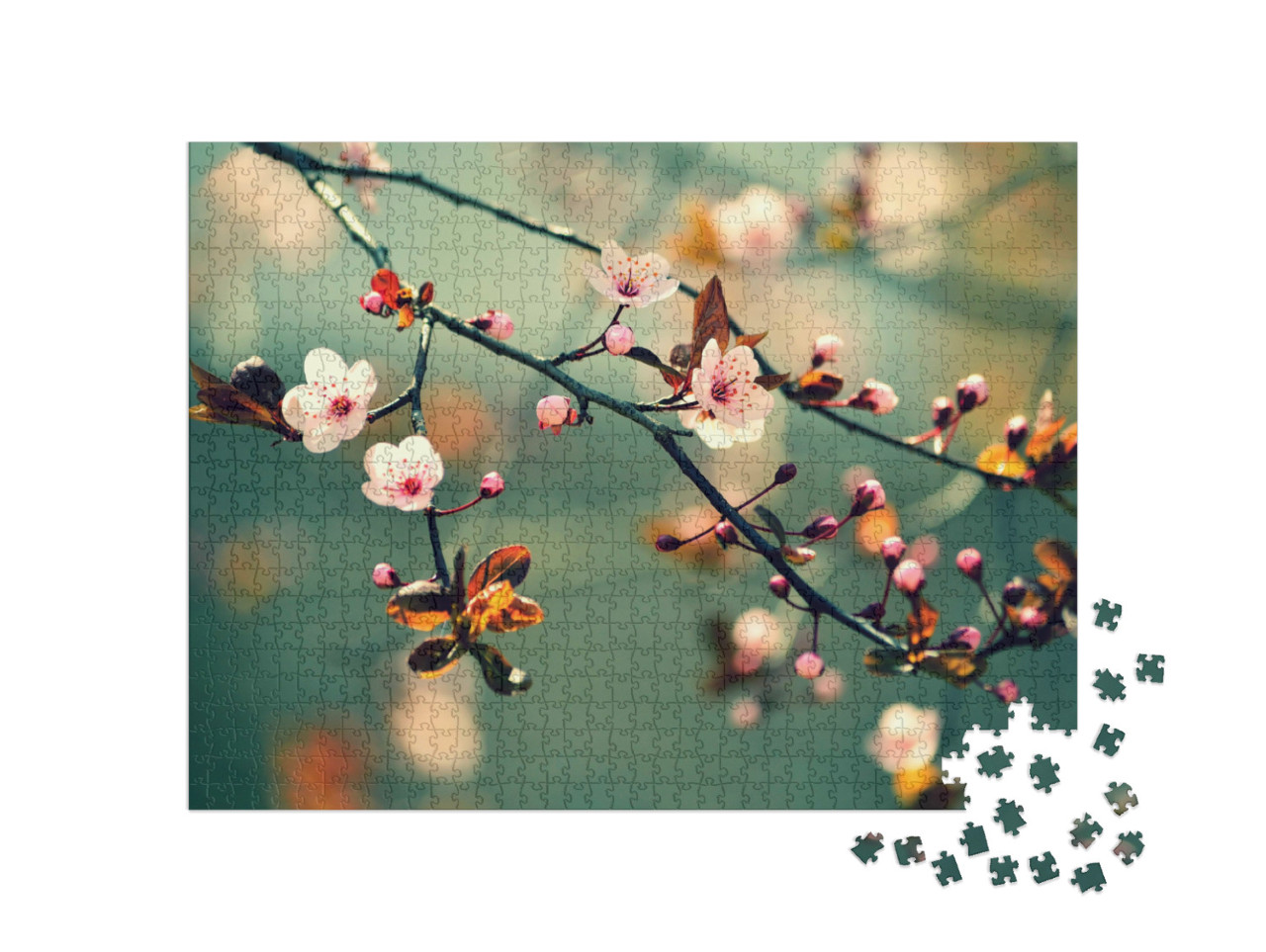 Puzzle 1000 pezzi „Ciliegio giapponese“