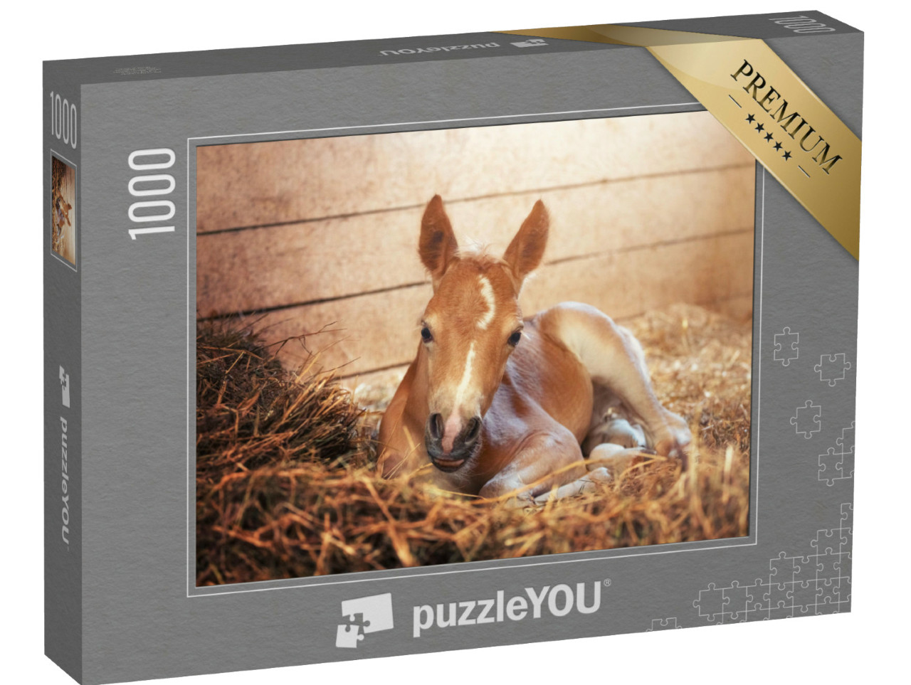 Puzzle 1000 pezzi „Puledro Haflinger nella stalla“