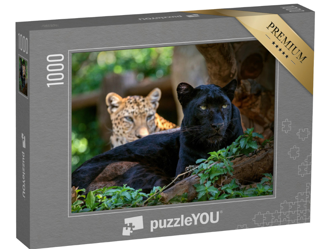 Puzzle 1000 pezzi „Leopardo o pantera“