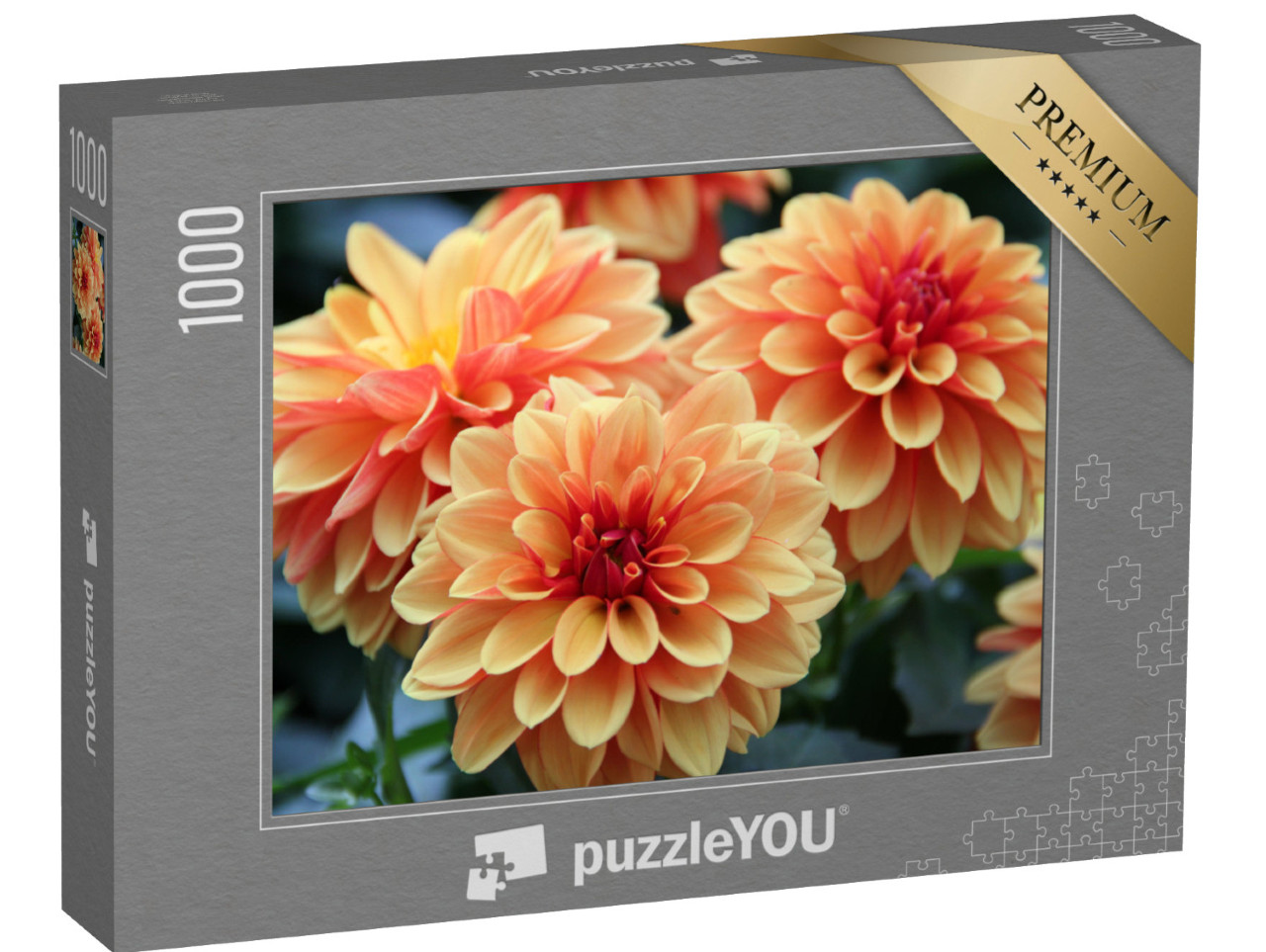 Puzzle 1000 pezzi „Fiori di dalia colorati“