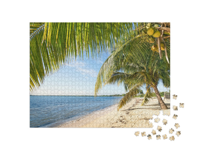 Puzzle 1000 pezzi „Palma da spiaggia e mare turchese a Playa Larga, Cuba“