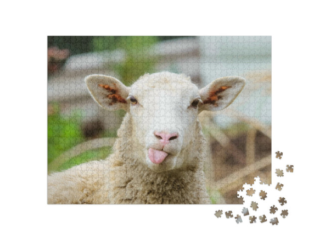 Puzzle 1000 pezzi „Ritratto di pecora“