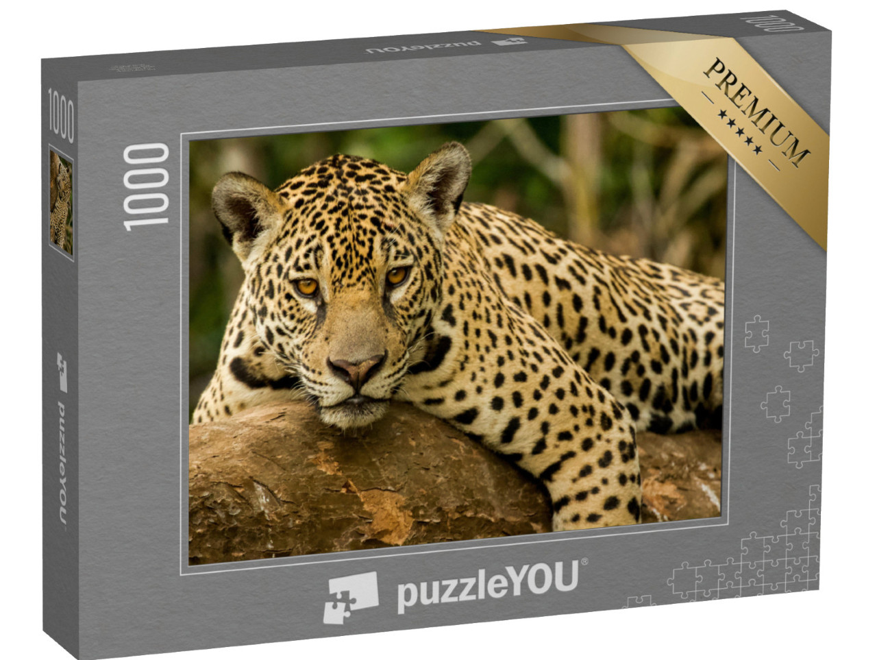 Puzzle 1000 pezzi „Il giaguaro“