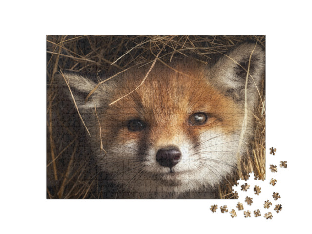 Puzzle 1000 pezzi „Cucciolo di volpe nel fieno“
