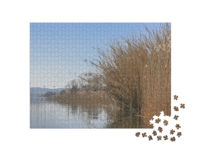 Puzzle 1000 pezzi „Una mattinata al Lago di Bolsena, ricoperto di canneti, nell'Italia centrale“