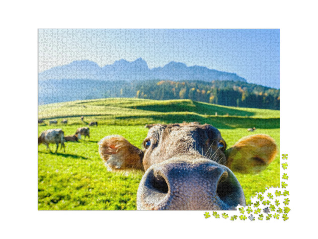 Puzzle 2000 pezzi „Mucca curiosa“