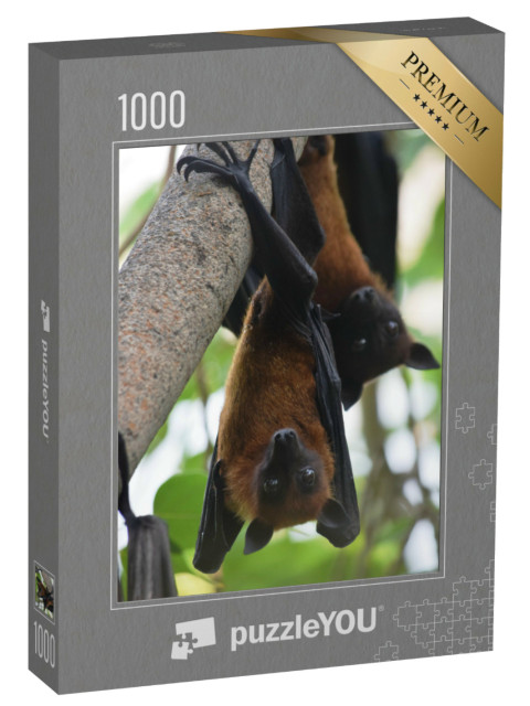 Puzzle 1000 pezzi „Volpi volanti indiane a testa in giù su un albero“