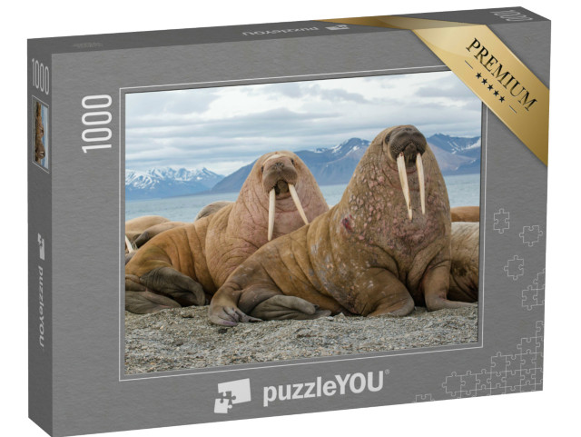 Puzzle 1000 pezzi „I maestosi trichechi nel loro habitat naturale“