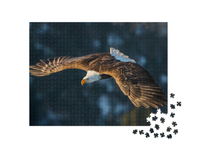 Puzzle 1000 pezzi „Aquila calva sopra una montagna in Alaska“