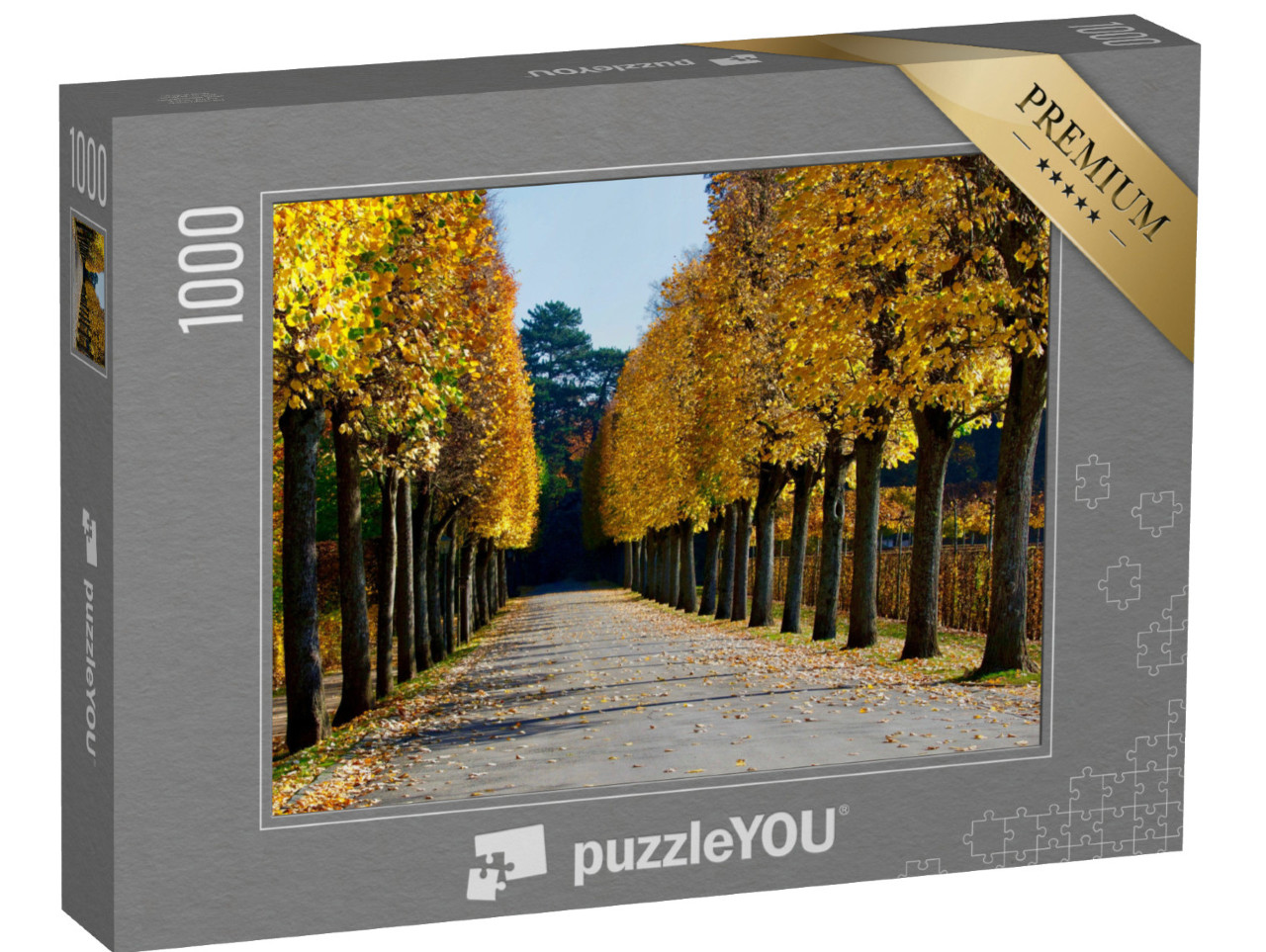 Puzzle 1000 pezzi „Vista autunnale di un vicolo dell'Hermitage di Bayreuth, Germania“