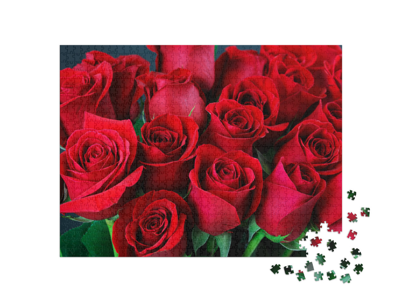 Puzzle 1000 pezzi „Un bouquet di rose rosse“