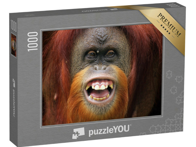 Puzzle 1000 pezzi „Volto di orango Sumateran“