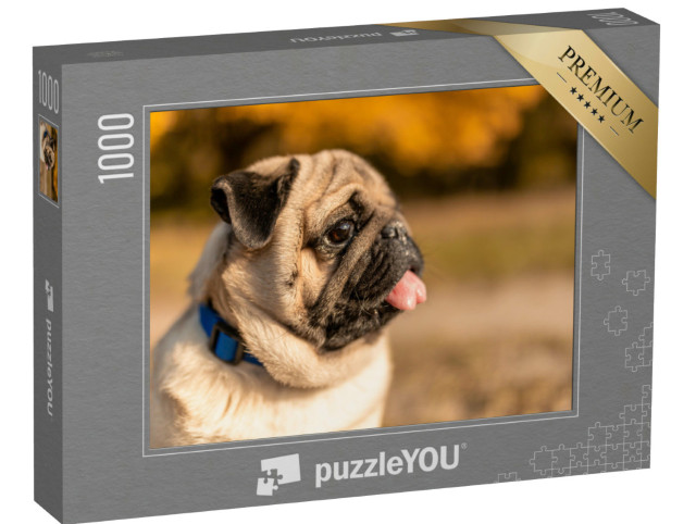 Puzzle 1000 pezzi „Ritratto laterale di un carlino“