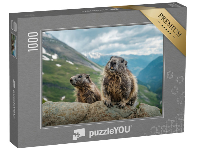 Puzzle 1000 pezzi „Due marmotte e una splendida vista sul Großglockner“