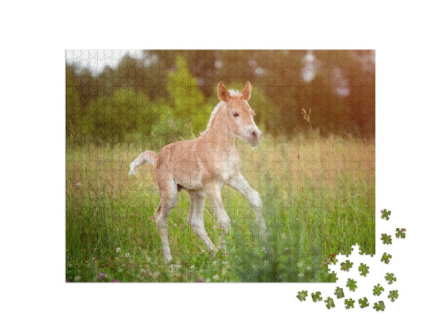 Puzzle 1000 pezzi „Bellissimo puledro Haflinger“