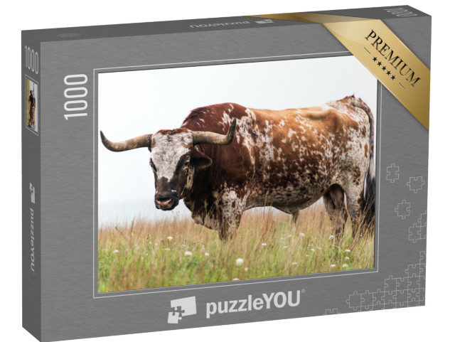 Puzzle 1000 pezzi „Toro longhorn del Texas nel Wichita Mountains National Wildlife Refuge, Oklahoma“