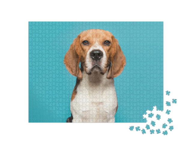 Puzzle 1000 pezzi „Ritratto di un beagle“