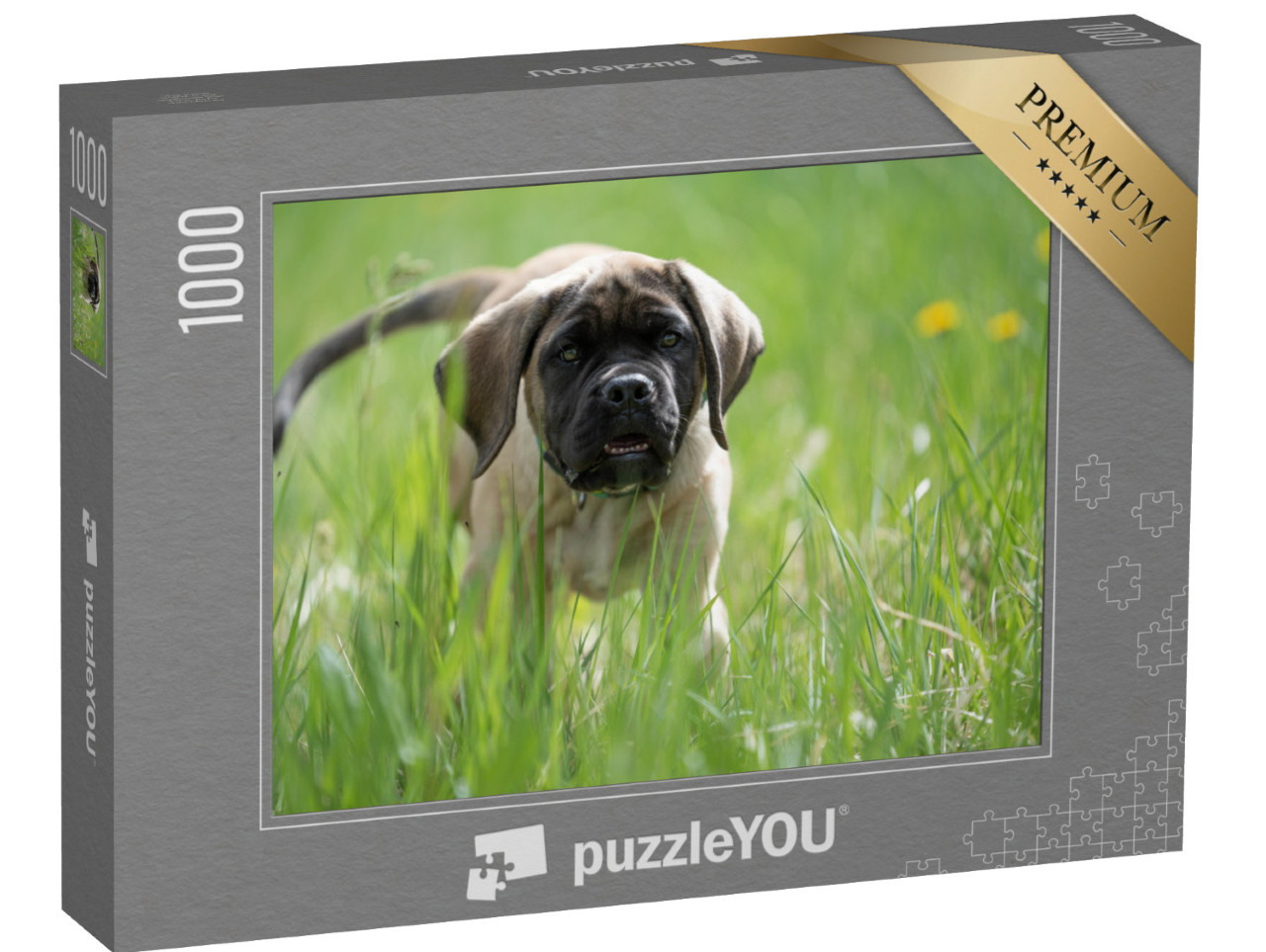 Puzzle 1000 pezzi „Il cucciolo di mastino inglese gioca“