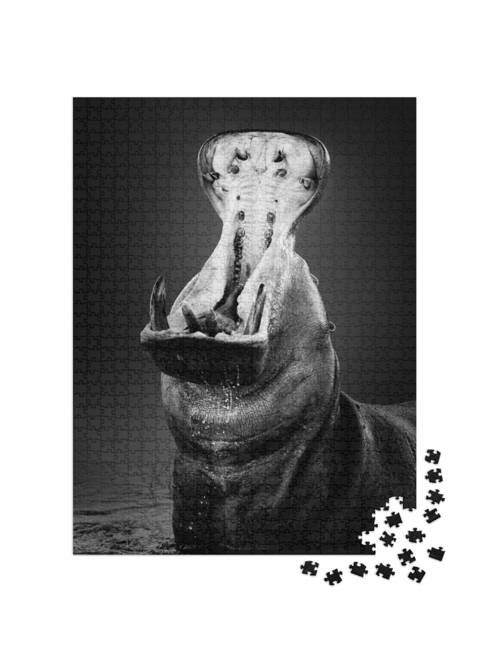 Puzzle 1000 pezzi „Ippopotamo con bocca spalancata nell'acqua“