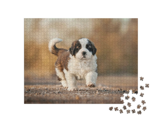 Puzzle 1000 pezzi „Cucciolo di San Bernardo“