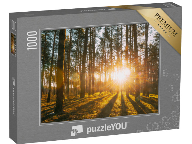 Puzzle 1000 pezzi „Raggi di sole nella foresta“