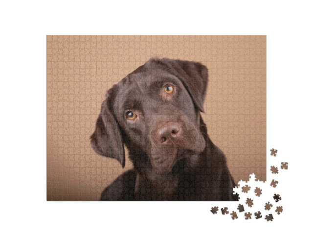 Puzzle 1000 pezzi „Fedele cucciolo di Labrador“