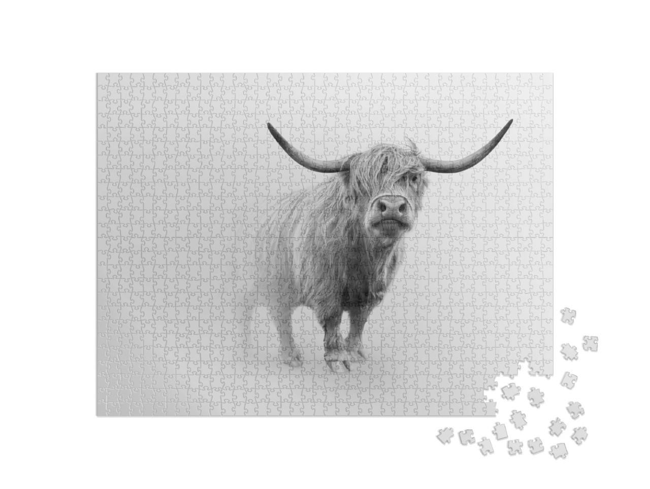 Puzzle 1000 pezzi „Bovino Highland scozzese con vitello“