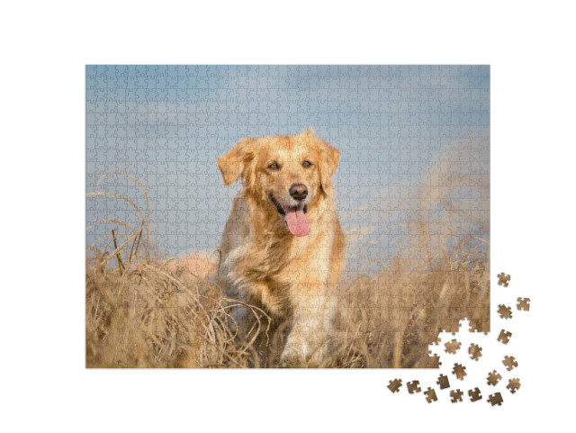 Puzzle 1000 pezzi „Golden Retriever in libertà“
