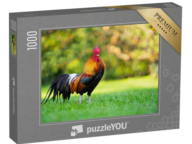 Puzzle 1000 pezzi „Un gallo impressionante su un'area verde“
