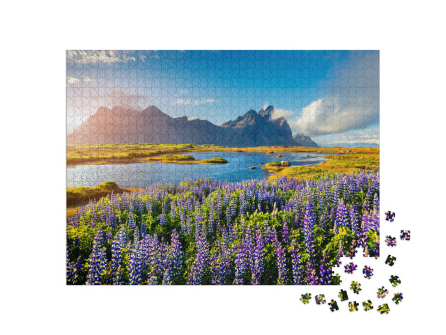 Puzzle 1000 pezzi „Fiori di lupino in fiore sulla costa dell'Islanda“