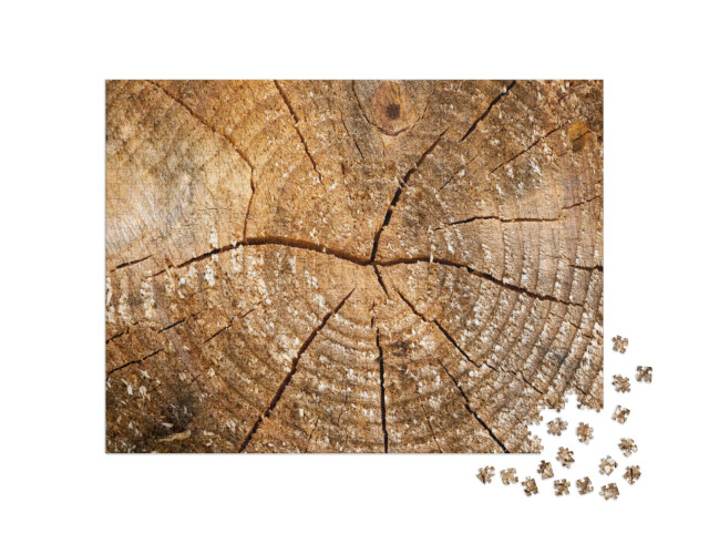 Puzzle 1000 pezzi „Legno invecchiato con anelli annuali“