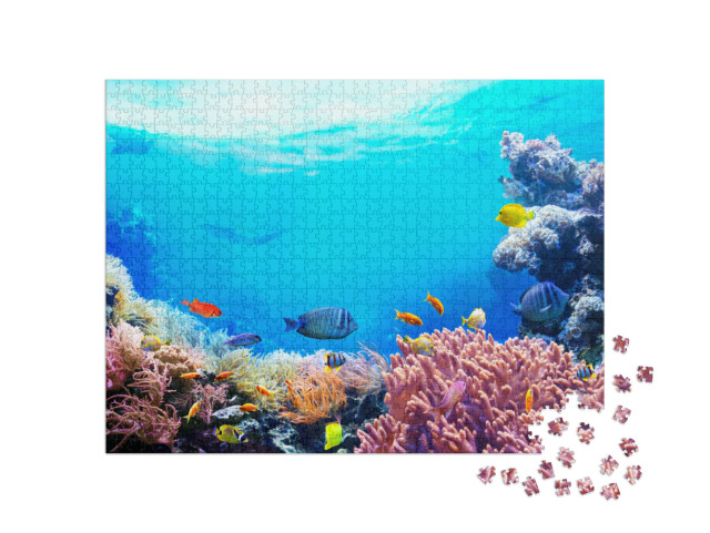 Puzzle 1000 pezzi „La vita nella barriera corallina“