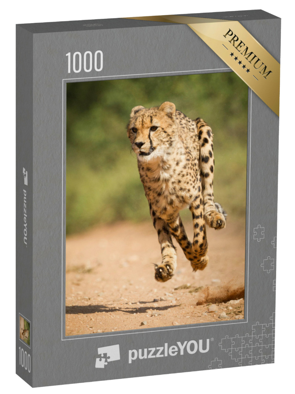 Puzzle 1000 pezzi „Ghepardo veloce, Parco Kruger, Sudafrica“