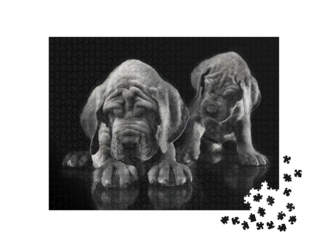 Puzzle 1000 pezzi „Alano: il cucciolo risveglia l'altro“