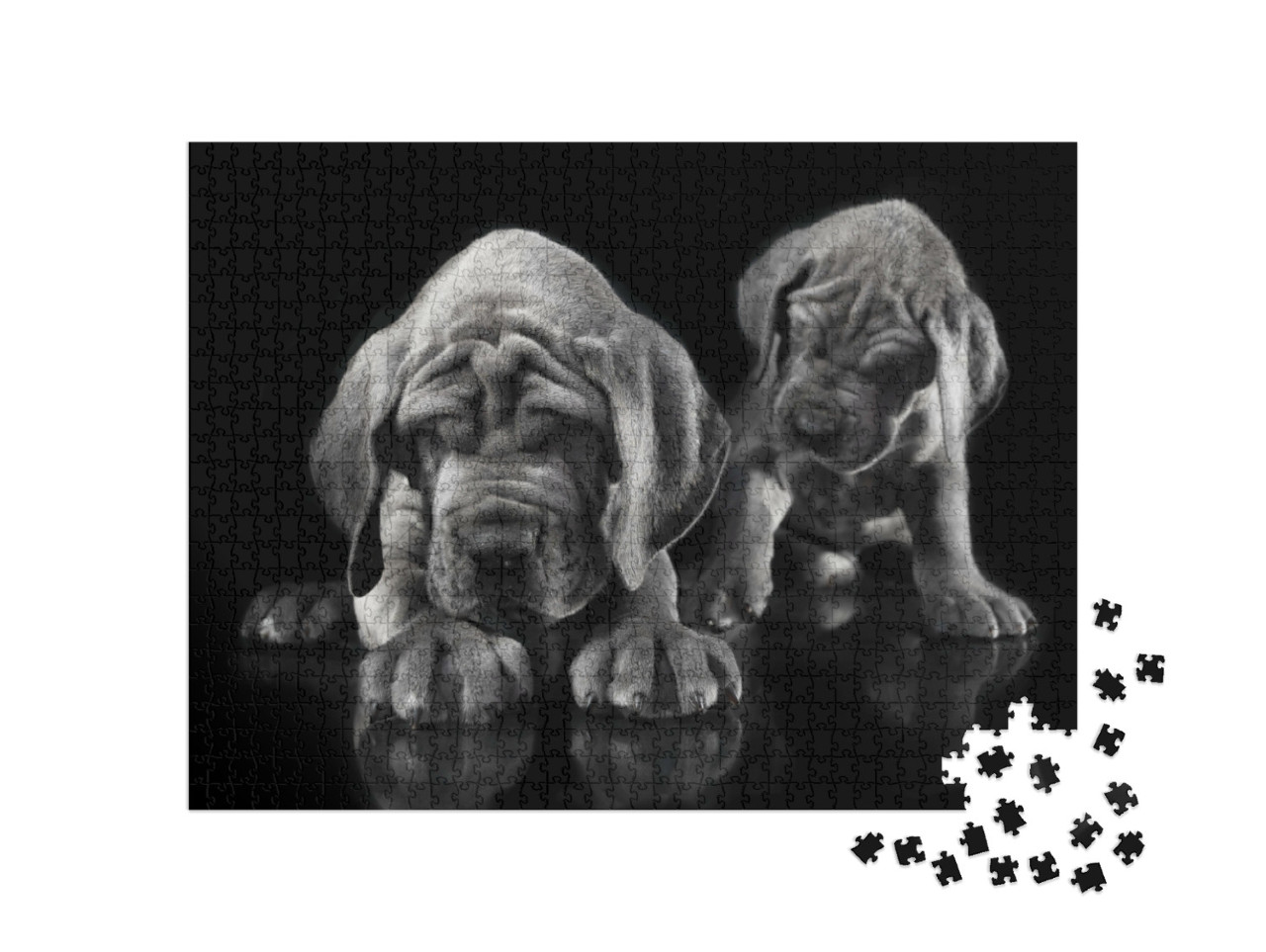 Puzzle 1000 pezzi „Alano: il cucciolo risveglia l'altro“