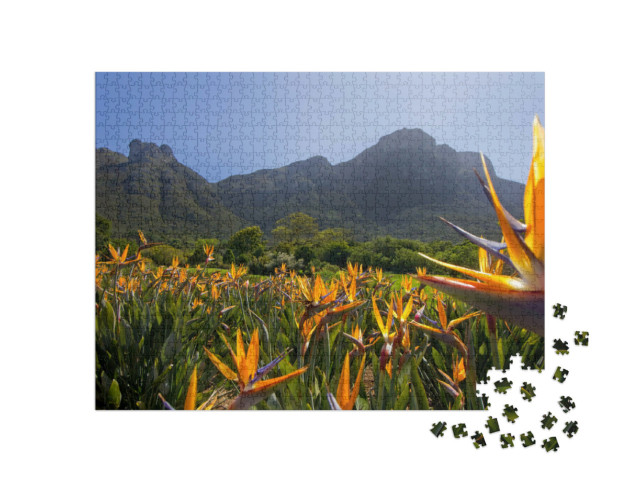 Puzzle 1000 pezzi „Fiori di strelitzia nei giardini di Kirstenbosch“