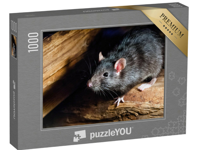 Puzzle 1000 pezzi „Il ratto nero, noto anche come ratto delle navi o ratto delle case“
