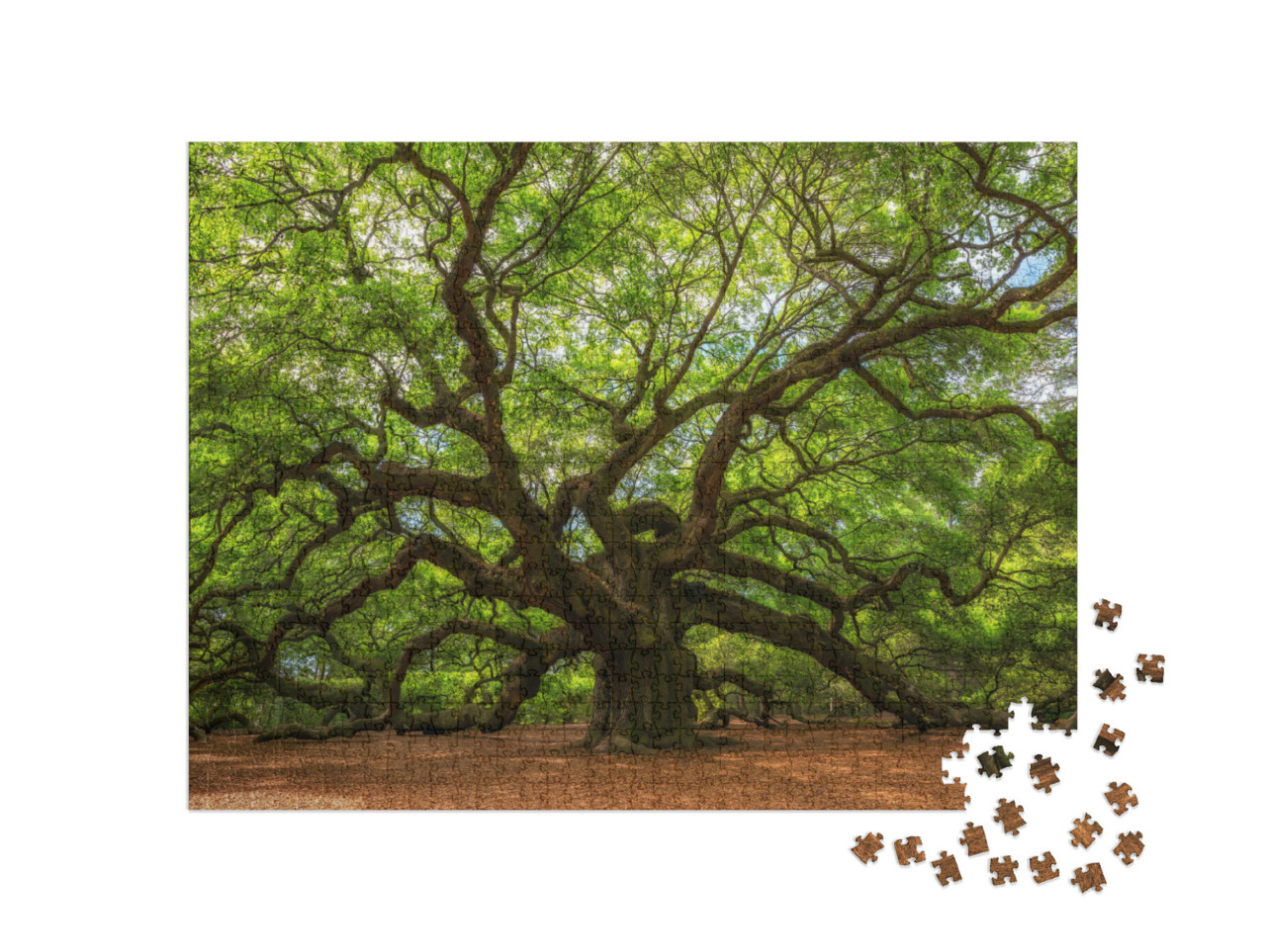 Puzzle 1000 pezzi „Albero cadavere ondeggiante a Johns Island, Carolina del Sud“