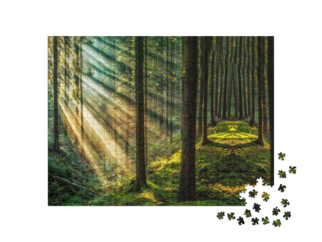 Puzzle 1000 pezzi „Foresta oscura con raggi di sole“