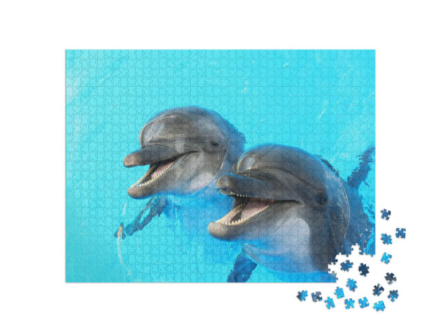 Puzzle 1000 pezzi „Due delfini che nuotano in piscina“