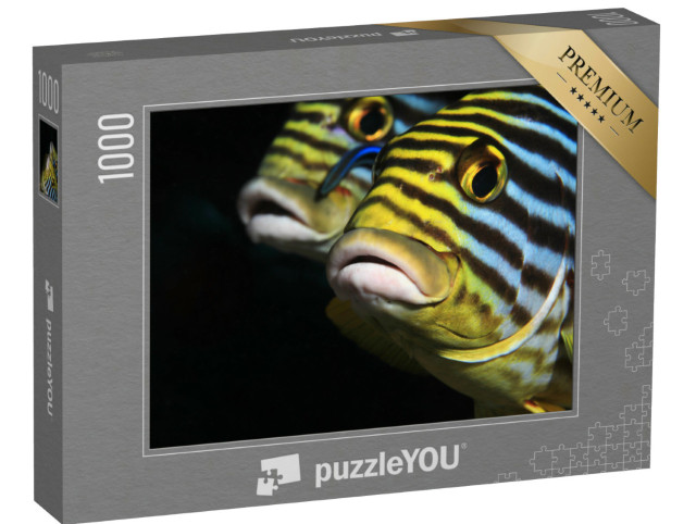 Puzzle 1000 pezzi „Tulipani orientali, Maldive“