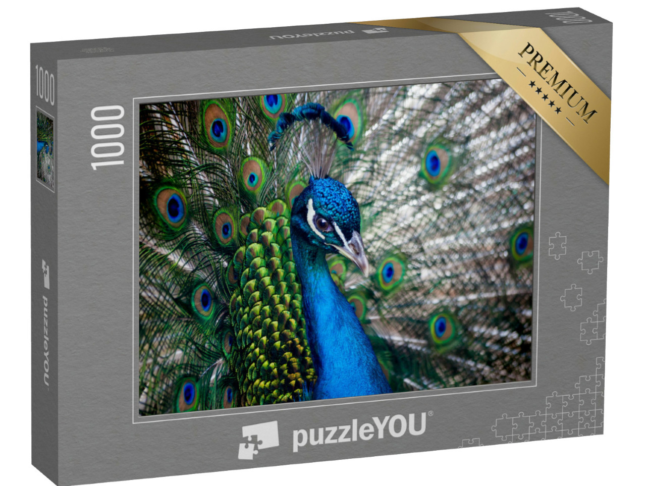 Puzzle 1000 pezzi „Bella testa di pavone“