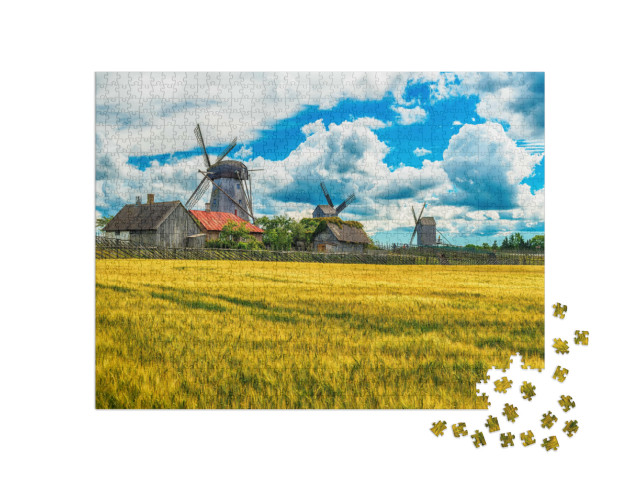 Puzzle 1000 pezzi „Campi estivi e mulini a vento di Angla sull'isola di Saaremaa, Estonia“