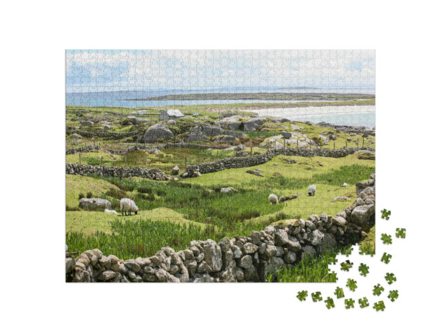 Puzzle 1000 pezzi „Muri di pietra irlandesi sulla costa“